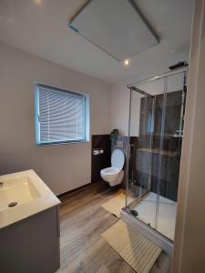 a bathroom with a toilet and a glass shower at Tolles schönes Ferienhaus mit großer Grillterrasse für 12 Personen im Harz in Sankt Andreasberg