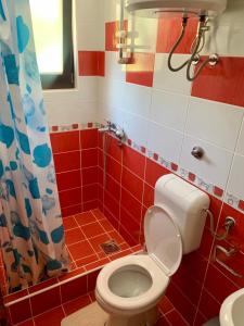 een badkamer met een toilet en een douche bij Vila Darija Zlatar - studio apartman br. 2 in Nova Varoš