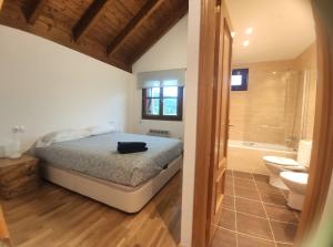 a bedroom with a bed and a tub and a toilet at Casa Rayera in Villanúa