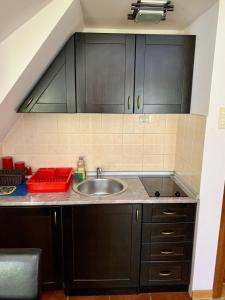 Kuchyň nebo kuchyňský kout v ubytování Vila Darija Zlatar - studio apartman br. 4