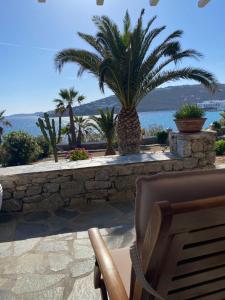 a patio with palm trees and a stone wall at Only yours , Mykonos in Paraga