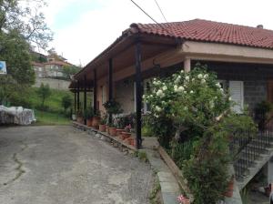 a house with potted plants in front of it at Guesthouse Lamprini in Neochori