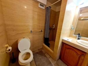 La salle de bains est pourvue de toilettes et d'un lavabo. dans l'établissement T2 rue piétonne Le Lavandou climatisé, au Lavandou
