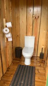 a bathroom with a toilet in a wooden wall at Orupõhja kämpingud ja telkimisala in Põlva