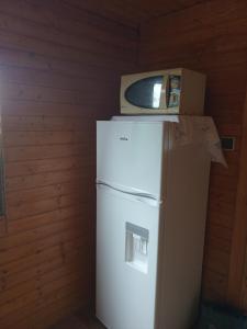 eine Mikrowelle auf einem Kühlschrank in der Unterkunft chata FRIDAY in Ktová