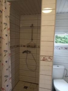 a bathroom with a shower with a toilet at chata FRIDAY in Ktová +20 photos