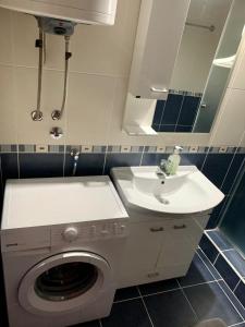 ein Badezimmer mit Waschmaschine und Waschbecken in der Unterkunft Vila Darija Zlatar - LUX apartman br. 5 in Nova Varoš + 41 Fotos