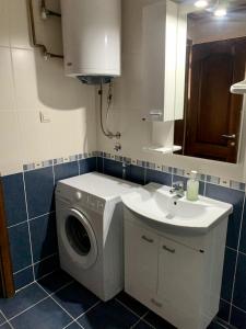 ein Badezimmer mit Waschmaschine und Waschbecken in der Unterkunft Vila Darija Zlatar - LUX apartman br. 5 in Nova Varoš