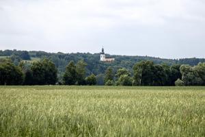 Príroda v okolí dovolenkového domu