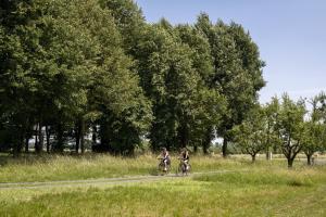 Jazda na bicykli v okolí ubytovania Kellerstöckl Gaaserberg