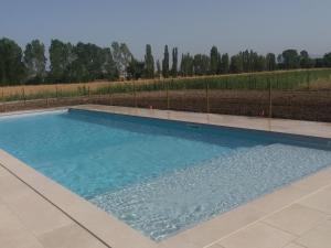 a swimming pool with blue water in front of a field at Il Podere di Francesco in Rivotorto