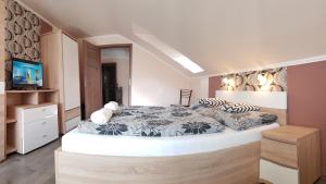 TV a/nebo společenská místnost v ubytování Central-Aqua Apartman