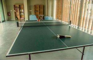 Stolní tenis v ubytování Mareleon Camping nebo okolí