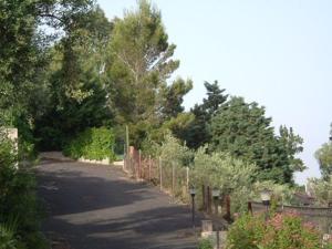 Gallery image of Casa Rex in Castelmola +13 photos