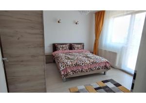 Gallery image of Apartament Passion in Mamaia Nord