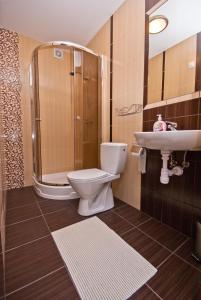 La salle de bains est pourvue de toilettes, d'une douche et d'un lavabo. dans l'établissement Apartamenty Antonio, à Kudowa-Zdrój
