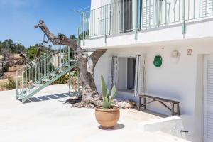 a plant in a pot in front of a building at Villa Torre Dell'Altomare con piscina, blocco n2 - Apulia Home in Alliste