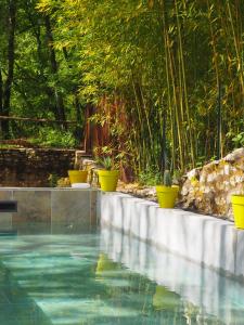 a swimming pool with green plants in the water at Moulin Bas, Prés de la Rivière in Carnac-Rouffiac
