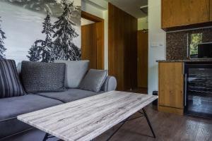Kuchyň nebo kuchyňský kout v ubytování Apartmány Sport & Ski
