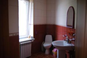 uma casa de banho com um WC e um lavatório em Дідів Рай em Volovets