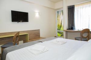 TV a/nebo společenská místnost v ubytování Hotel Olanesti & Spa Medical