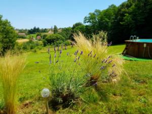 Zahrada ubytování Charmante Maison entre Lot & Dordogne avec Piscine Privée