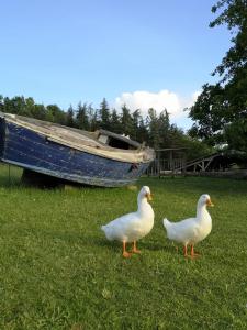 Marmont-PachasにあるDomaine de Cavaillaのギャラリーの写真 +37枚の写真