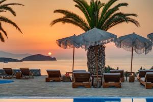 a resort with chairs and a palm tree and the ocean at Faros Resort in Azolimnos Syros