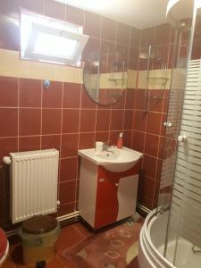 y baño con lavabo, aseo y espejo. en Casa Mariana, en Căpăţîneni-Ungureni