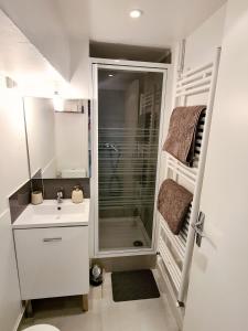 La salle de bains blanche est pourvue d'une douche et d'un lavabo. dans l'établissement L'industriel, spacieux T2 refait à neuf, à Dardilly