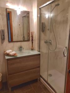 a bathroom with a shower and a sink and a mirror at Santiago Sur, Camino Portugués in Milladoiro
