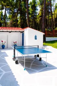 Afbeelding uit fotogalerij van Forest Sani Villa in Sani Beach