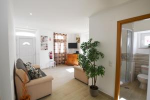 un salon avec un canapé et une plante dans l'établissement Casa Dom Carlos, à Ferragudo
