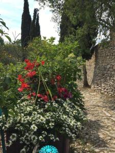 um jardim com flores vermelhas e uma parede de pedra em Les Magnolias em Montbrun-les-Bains