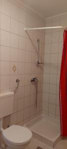 ein Badezimmer mit Toilette, Waschbecken und Dusche in der Unterkunft Danijel in Sveti Juraj