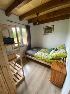a bedroom with a bunk bed and a ladder at Domek na Górce 660 704 280 in Baligród