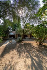 dom ze stołem piknikowym i drzewami przed nim w obiekcie Villa Olive apartments w mieście Ýpsos