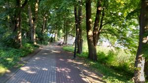Przyroda w pobliżu tego apartamentu