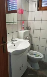 a bathroom with a sink and a toilet at Apartman Darko in Cesarica +24 photos