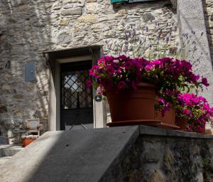 een pot bloemen op een muur voor een deur bij Casina Matilde in Varese Ligure