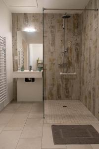 een badkamer met een douche, een wastafel en een spiegel bij Au détour des vignes in Ordonnac +14 foto's