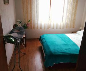 1 dormitorio con 1 cama con manta verde y ventana en 11 Primorska ulica, en Cesarica