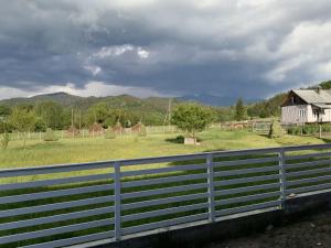 Gallery image of Pensiunea Freya in Colibiţa