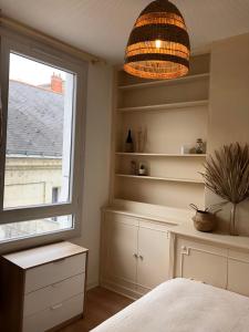 een slaapkamer met een bed en een raam en een potplant bij Le Tanin -Appartement entier avec Balcon in Saumur