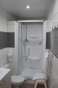 a white bathroom with a shower and a toilet at Hotel des Lauriers Roses in Bourbonne-les-Bains