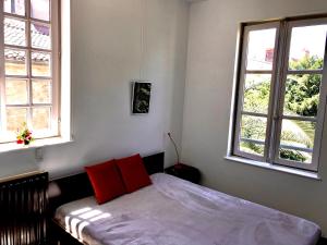 1 dormitorio con 1 cama con almohadas rojas y 2 ventanas en Appartement à la Roquette, dans l'Hotel de Divonne, classé., en Arles