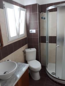 a bathroom with a toilet and a sink and a shower at Dimitris appartment in Stavros