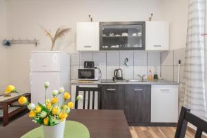 Kuchyň nebo kuchyňský kout v ubytování Apartment Eša
