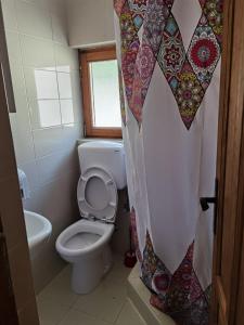 Gallery image of Rafting Blue River Tara in &Scaron;ćepan-Polje