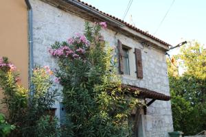 Zahrada ubytování Cottage Sammon